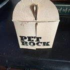 Vintage Original First Edition Pet Rock With Original Box  Manual  Straw  Rock
