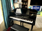 Yamaha Dgc1m4 Baby Grand Piano - Black Polished Ebony - 63  X 59  X 40 
