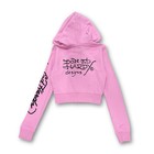 Ed Hardy    flying Skull    Pink Cropped Zip Up Hoodie