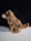 Webkinz Ganz Endangered Red Wolf Signature Plush Stuffed Animal Wkse3008 No Code