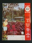 Vintage Florida Pictorial Magazine Weeki Wachee Mermaids Silver Springs 35   New