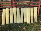 100x Plastic Mesh Tree Guards     Lightweight Plant Protection Tubes Bulk Pack