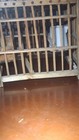 Vintage Coal Miners Canary Cage Bird Cage With Watering Inserts