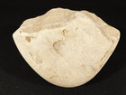 Huge 2 9 To 1 7 Million Year Old Paleolithic Age Oldowan Pebble Chopper 1313gr
