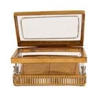 Antique Brass And Crystal Stamp Box
