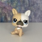     authentic Littlest Pet Shop Lps Baby Bulldog  3588 Tan White Blue Eyes Rare    