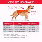 Kong Reflective Dog Safety Vest Walking High Visibility Outdoor Harness