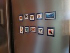 Usps Stamp Magnet Lot Of  10  Butterflies  Birds  Dog  Shark