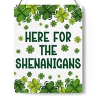 Funny St Patricks Day Shamrock Decorations  Here For The Shenanigans Printed 