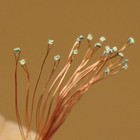 20pcs Pre-wired Micro 0 1mm Copper Wire Smd Led 0402 Red Lights Lamps C0402r