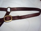 Collegiate Leather Halter - Brass Hardware - Adjustable - Full Size - Great