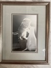 Vintage Framed Kitten Photo 9x11 5    Signed Print