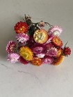 Beautiful Strawflowers Mix Assorted Bunch Bouquet Bundle Dried Flowers Usa Auc 1