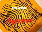 Kim Wilson Tigerman 1993 Bandana Swag Blues Music