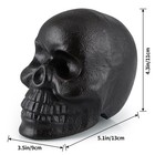 Skull Statue  Human Skull Sculpture Halloween Decor  Cast Iron Collectible Sk   