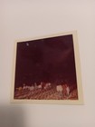 Beatles  Concert Cow Palace  Authentic  Colors Photo Fans