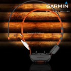Garmin Tt25 Mini Tracking Training Collar With Zero Length Gps Band   Free Strap