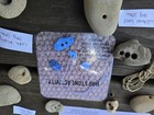 Hag Stones   Holey Stones Collection Set W  Info Cards   String