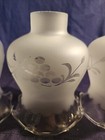 Vintage Art Deco Frosted Etched Grape Design Glass Lamp Sconce Chimney Shade 