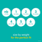 Bestseller  Pampers Baby-dry Diapers Size 4 128 Count Convenient Free Shipping 
