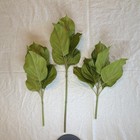 Prestige Botanicals Majority  High Quality Flowers For Floral Arranging 55 Stems