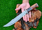 Custom Made Forged Damascus Steel Hunting Bowie Knife Wood   Bone Handle 2914