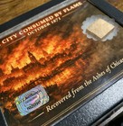 Chicago Fire 1871 Relic Wood Fragment Display Historical Artifact Coa