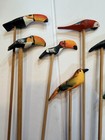 Hand Painted Parrot toucans Bamboo Swizzle Stick  Wooden Bird Lot Of 10 Colorful