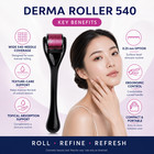 Derma Roller 540 Microneedles