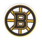 Nhl Hockey Outdoor Grade Vinyl Decal Stickers Complete Set Of All 32 Teams