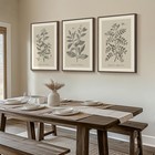 Large Framed Botanical Wall Art For Living Room  3 Piece Neutral Plant Canvas   