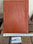 Wild Alligator Executive Writing Pad Portfolio Fashion Cog Gator Swamp  Mr9