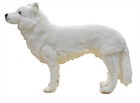 Hansa Arctic Wolf Standing 64 Bh7316 New Realistic Plush Animals From Japan