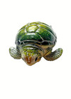Green Sea Turtle Baby Figurine 2 75  W Home Decor Nautical Ocean Resin Gift