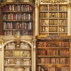 Fancy Bookshelves Books Library Scrapbook Card Journal Craft Paper