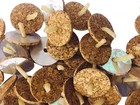 500 Pcs Cork Floating Oil Wicks Eco Friendly Diya Bati Parsi Vat Indian Pooja