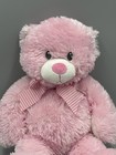 Ty Classic Sweet Baby Pink My First Teddy Bear Plush 16    Stuffed Animal 2015