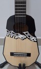 Professional Ronroco With Fishman Pre-amp - From The Charango Family Only 1