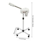 Beauty Salon Spa Facial Steamer Sauna Beauty Equipment Skin Care Ozone Machine