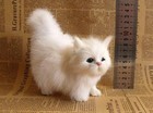 Cat Dolls Toys Decoration Gifts Simulation Stuffed Cat Furs  Cute Plush Animal