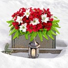 Grpfs Christmas Cemetery Flowers Red White Poinsettias Headstone Saddle Memorial