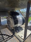 Colborne   Oliver Double Pass Dough Sheeter P-17rn