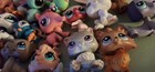 Littlest Pet Shop Lot