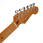 Fender Stratocaster Neck Player Plus Series 12  Maple Fretboard W tuners Mim