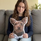Personalized Photo Pillow  Cut-to-shape Pillow   Single Sided Kids Gift