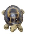 Composite Turtle Collectible Adult Tortoise Sea Ocean Figurine Textured