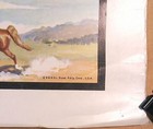 Vintage Educational Poster Identifying Horses Racehorse Man O War Breeds 1950s