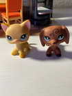 Lps Littlest Pet Shop  339 Shorthair Cat Kitty Action Figure Toy 2  New No Box