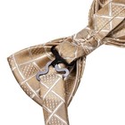  Bow Ties For Men Pre-tied Pocket Square With Cufflinks Champagne Plaid Dots