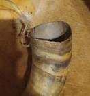   awesome Old  Louisiana Folk Art Dog Horn Blowing Horn  Old Time Hunting Horn  